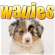 Wauies